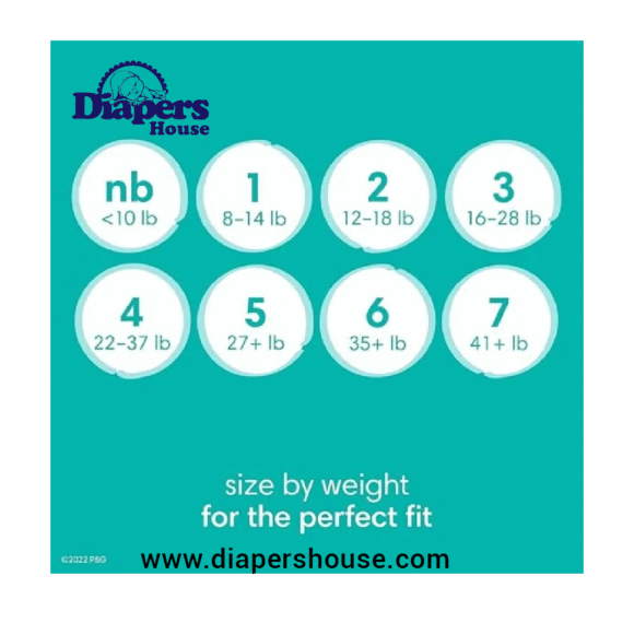 "Pampers Baby Dry Diapers, Size 1 (120 Count) – Ultra Absorbent and Comfortable Disposable Diapers for Newborns - Image 2