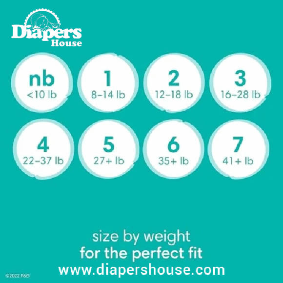 Pampers Baby-Dry Disposable Diapers – Size 1, 120-Pack, Long-Lasting Absorbency for Newborns - Image 2